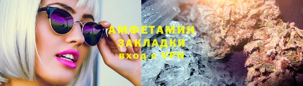 шишки Корсаков