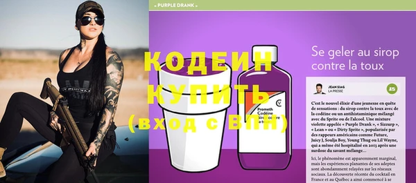 шишки Корсаков