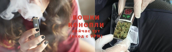 сатива Коряжма