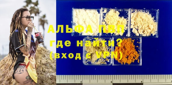 сатива Коряжма