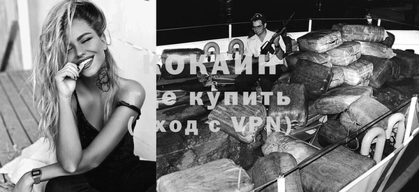 шишки Корсаков