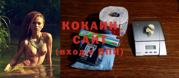 сатива Коряжма