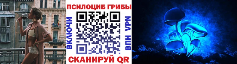 блэк спрут   Красный Сулин  Галлюциногенные грибы прущие грибы 