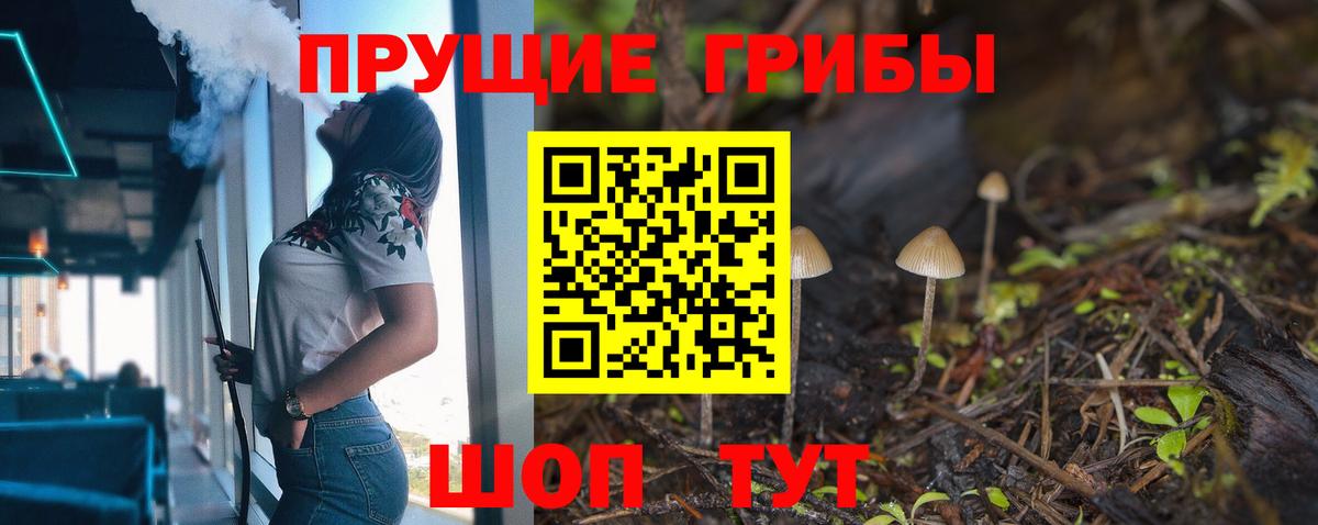 Псилоцибиновые грибы MAGIC MUSHROOMS  Вход с VPN  Красный Сулин 